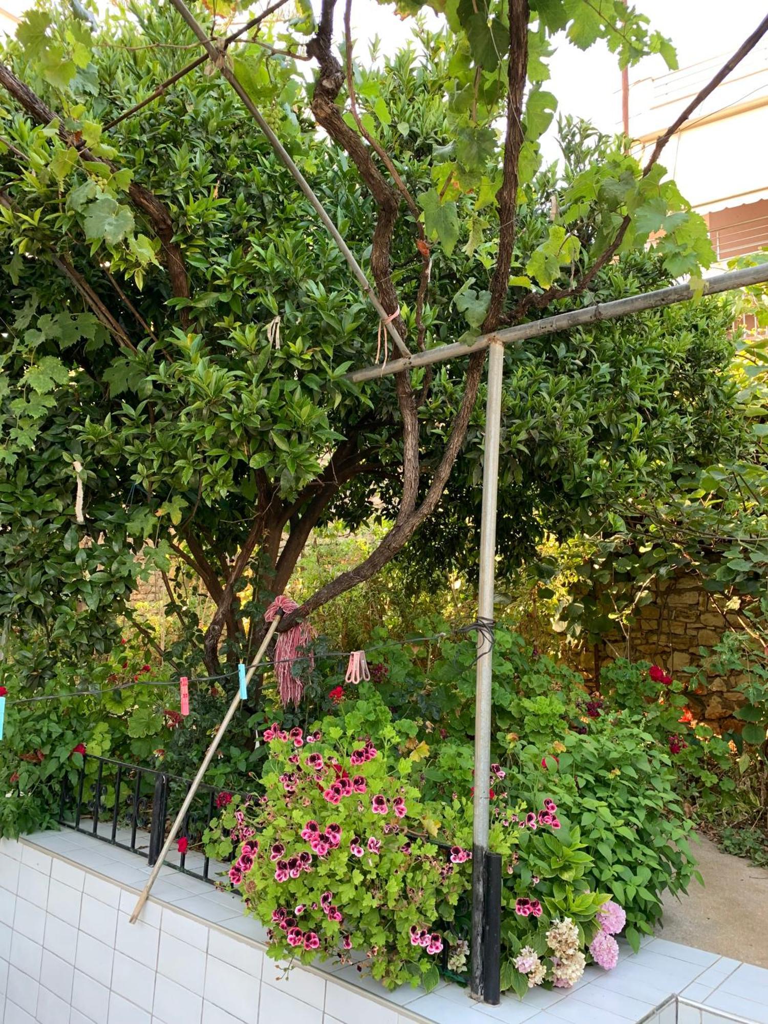 סרנדה Ylli Cunaj Apartments מראה חיצוני תמונה