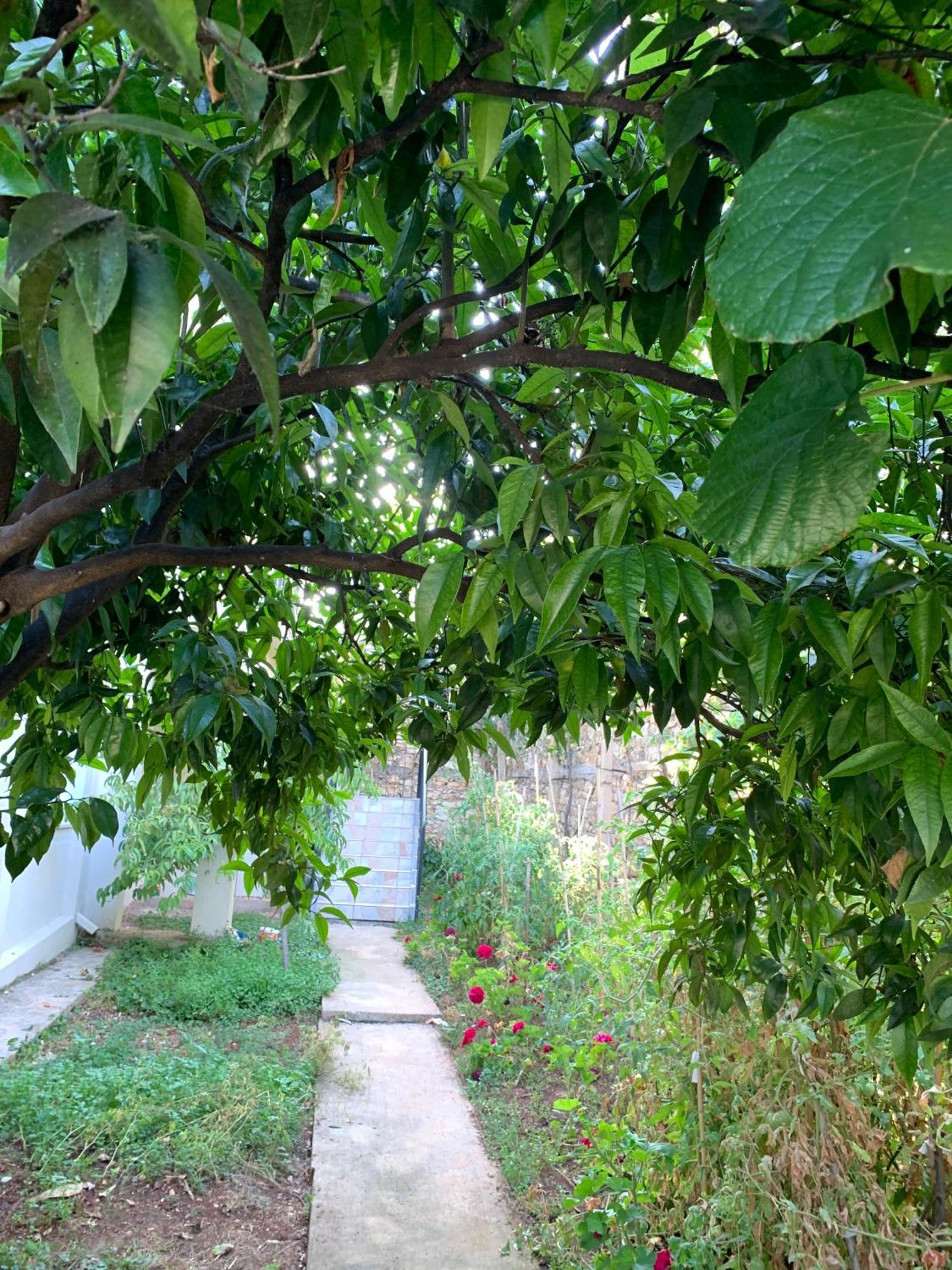 סרנדה Ylli Cunaj Apartments מראה חיצוני תמונה